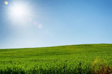 בתרונות רוחמה