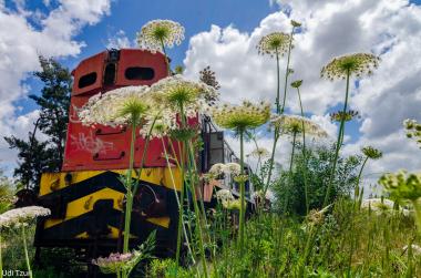 קטר נטוש בואדי צראר