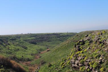 תצפית לנוף הפתוח