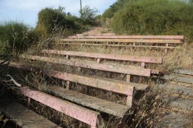 אמפי נטוש שפיים