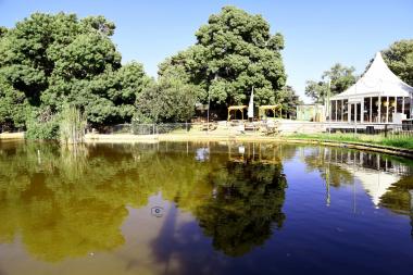 אגם בגן הוורדים