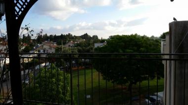 נוף מהמרפסת לפארק