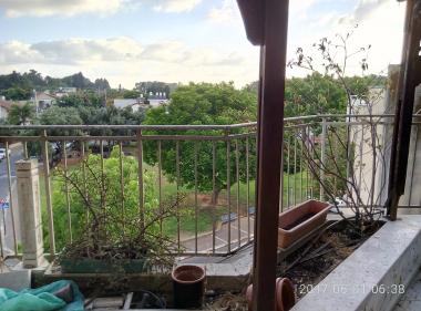 מרפסת עם נוף לפארק