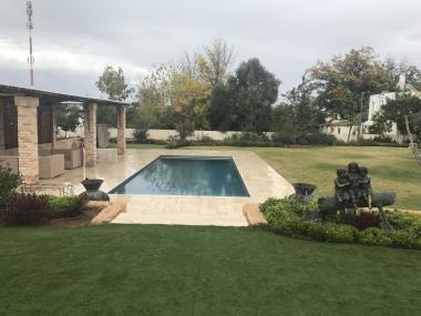 חלק אחורי בגינה