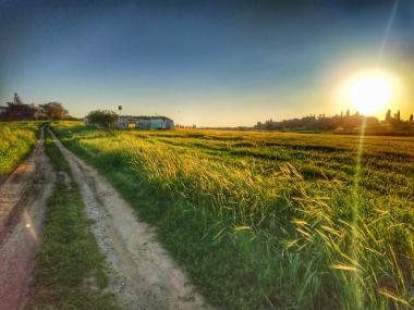 המבנה הנטוש לקראת שקיעה