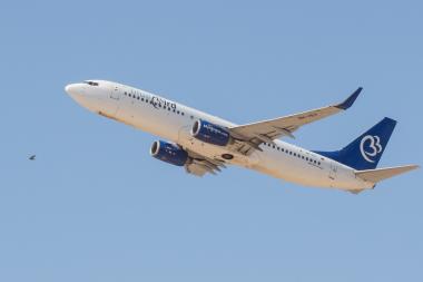 מטוב בלו בירד עם ציפור מלפניו