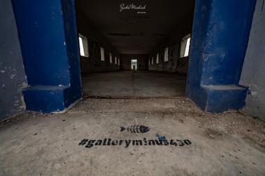 לוגו הגלריה 