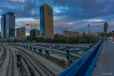 עכברי תל אביב