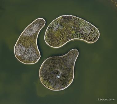 מעל האגם האקולגי