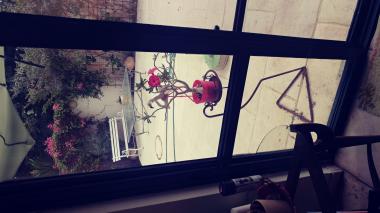 הצצה לגינה האחורית