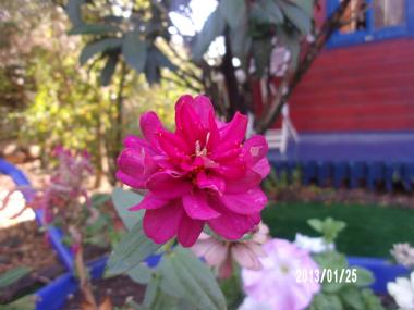 היופי שבטבע