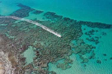 חוף גבעת אולגה חדרה