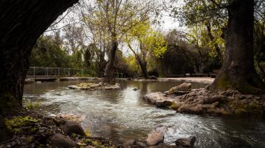 בריכת שכשוך בתל דן