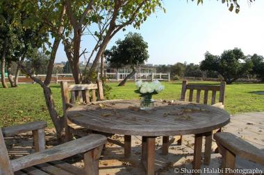 גינה וחוות סוסים