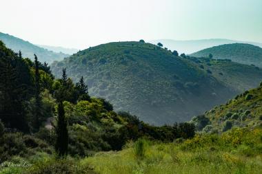 תצפית על החילזון