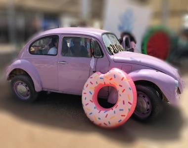 שושה החיפושית המתוקית