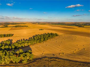 צורות בקרבת שער הנגב