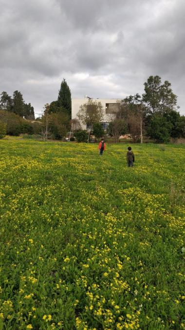 בית טובל בשדות