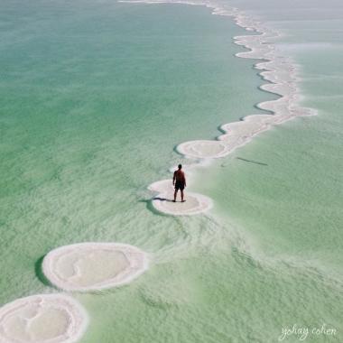 פטריות מלח בעין בוקק