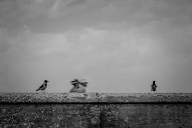 חנייה של נמל יפו