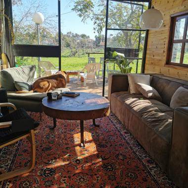 סלון שטוף שמש