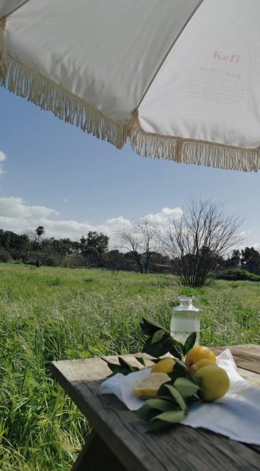 הפקת פיקניק