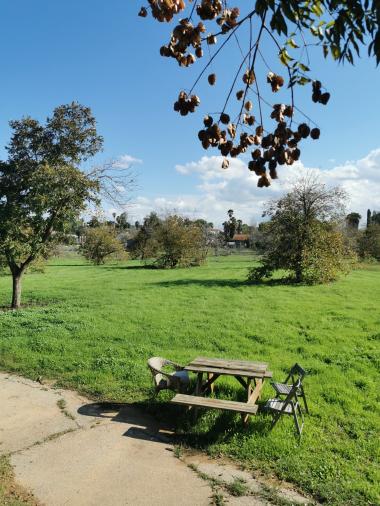 שטח ירוק גדול