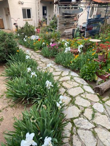 שביל למתחם הסטודיואים