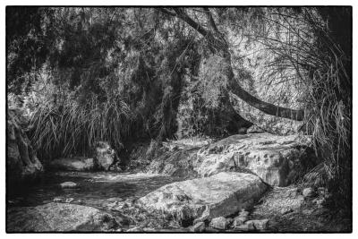 נחל דוד נחל דוד