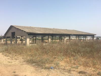 סככות ומבנים נטושים, עיינות סככות ומבנים נטושים  בית עובד