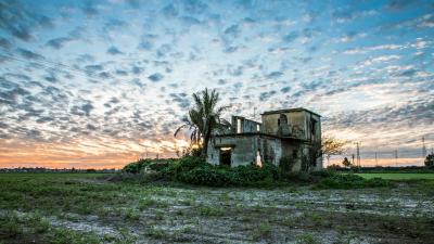 מבנה נטוש בין יבנה לרחובות מבנה נטוש בין יבנה לרחובות