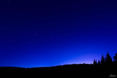 יער בן שמן יער בן שמן