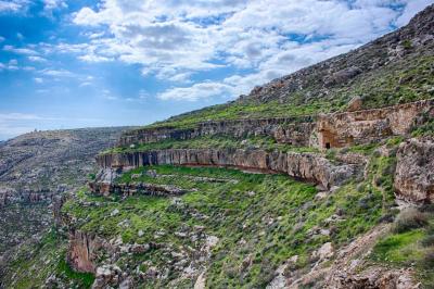 נחל תקוע נחל תקוע