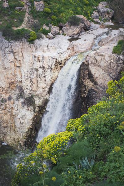 נחל אל על המפל הלבן