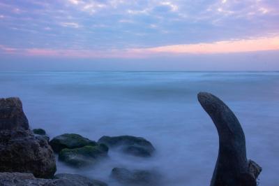 חוף סידני עלי