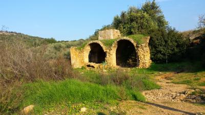 נחל צלמון  נחל צלמון