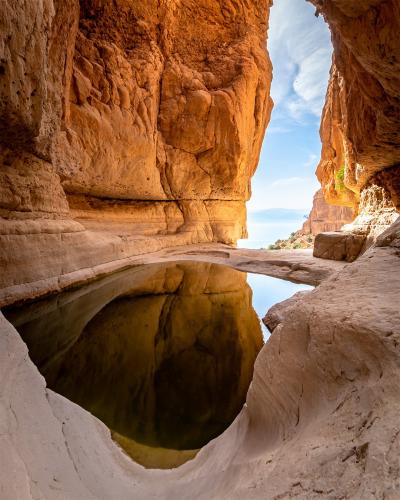 גב חלון גב חלון
