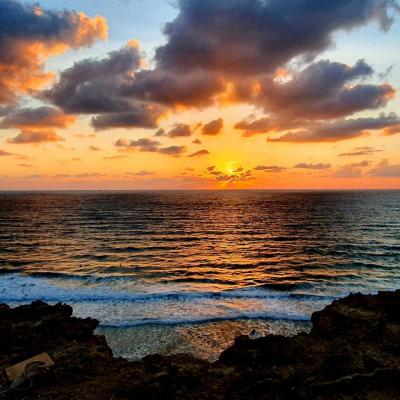 חוף סידני עלי חוף סידני עלי