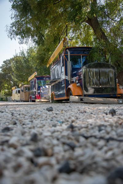 גן וואהל לוורדים בירושלים גן וואהל לוורדים בירושלים