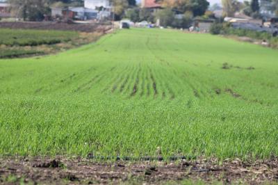 טיילת נחל בית לחםשביל סובב רמת ישי טיילת נחל בית לחם שביל סובב רמת ישי