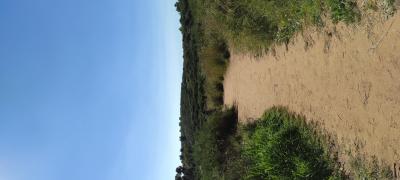 גבעת הכורכר גבעת הכורכר