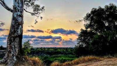 גבעת אהבה עזריקם גבעת אהבה עזריקם