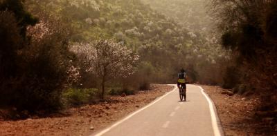 פארק הארזים פארק הארזים