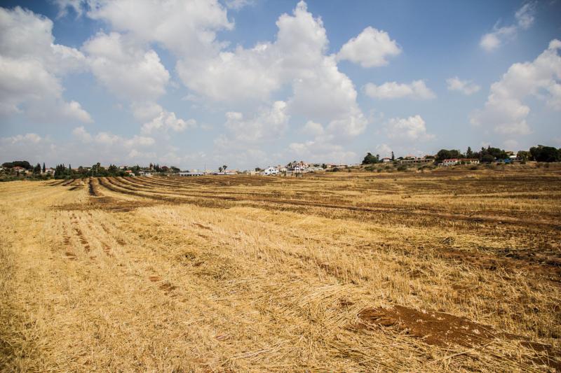 שדה פתוח