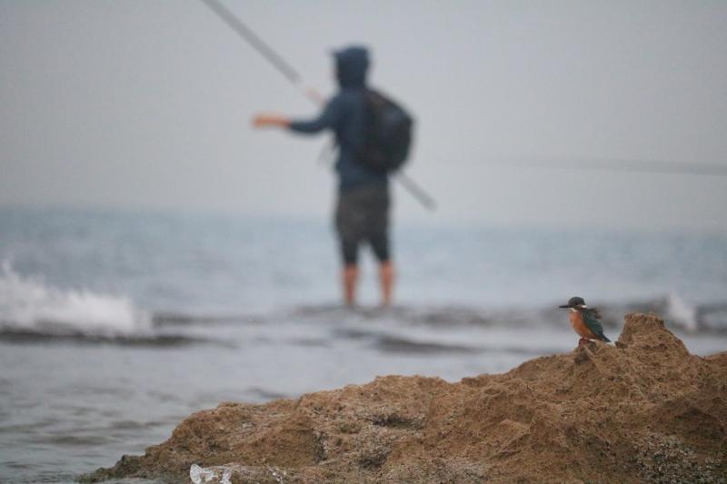 הציפור והדייג