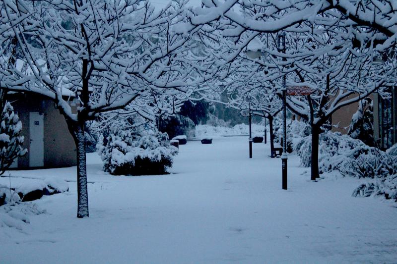 כפר האמנים אניעם בשלג