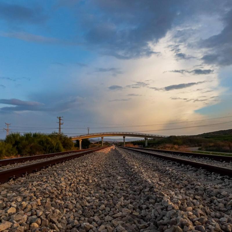 הפסים החדשים