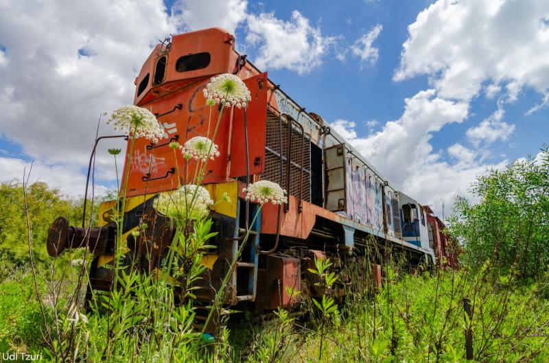 קטר נטוש בואדי צראר