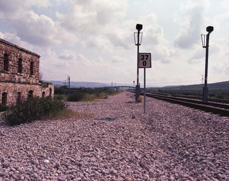 גם זן צולמה בפורמט בינוני