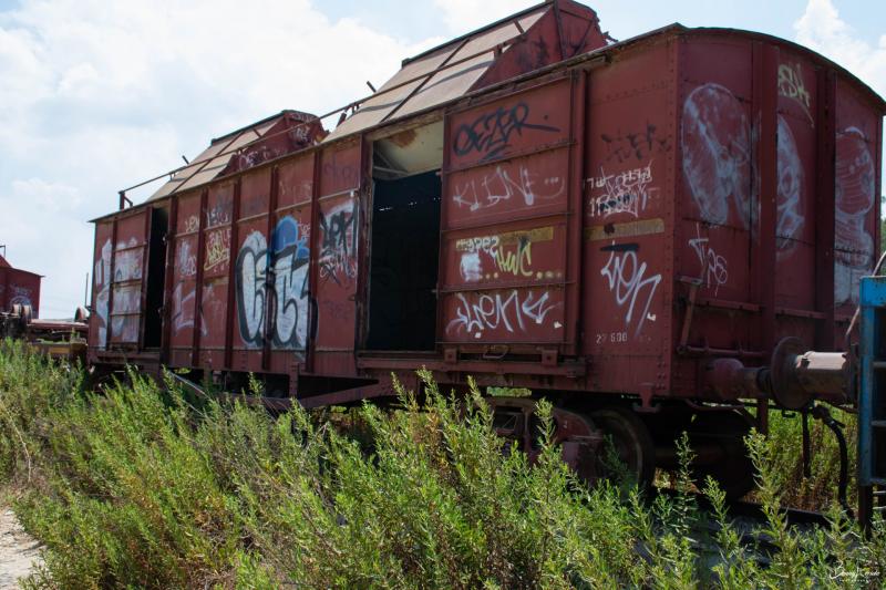 הרכבת בואדי צראר 